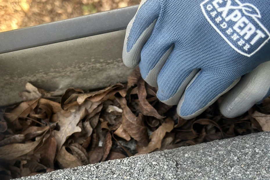 Gutter Cleaning Forest Acres