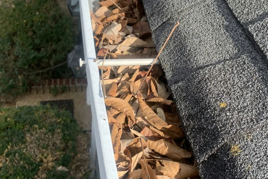 Gutter Cleaning Forest Acres