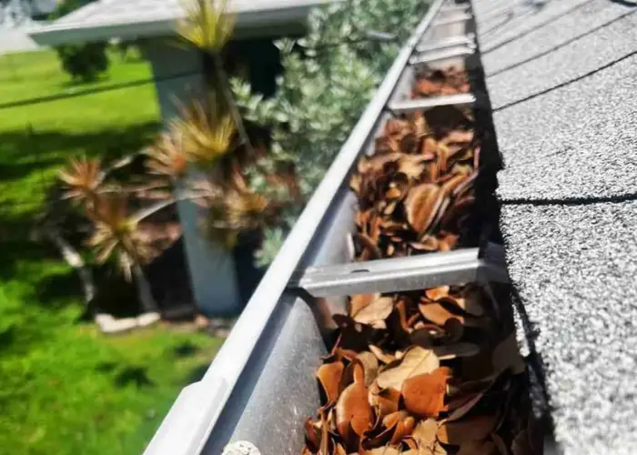 Gutter Cleaning Forest Acres home page